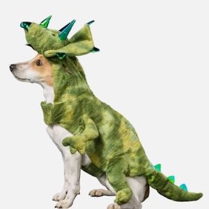 Triceratops Dog Costume